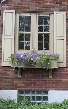 Flowers in windowboxes at cat veterinarian Dayton